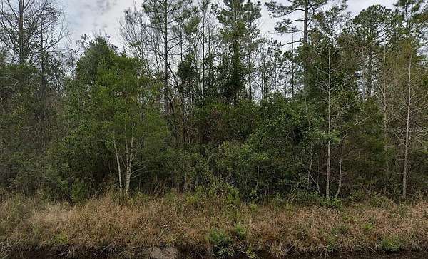 1.14 Acres of Residential Land for Sale in Hastings, Florida
