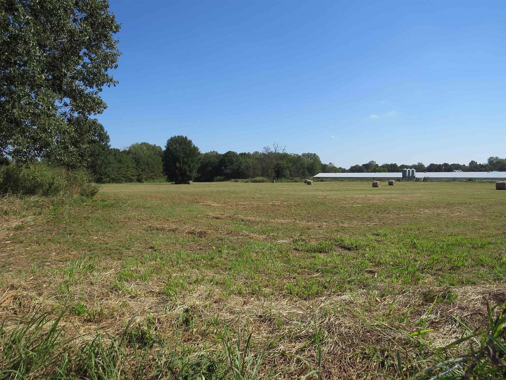 50 Acres of Agricultural Land for Sale in Russellville, Alabama