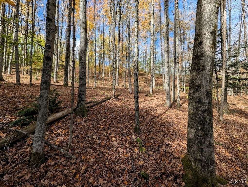 9 Acres of Land for Sale in Cohocton, New York