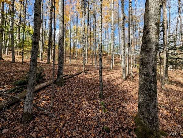 9 Acres of Land for Sale in Cohocton, New York