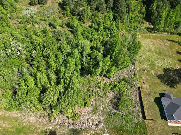 1 Acre of Residential Land for Sale in Pittsburg, Texas