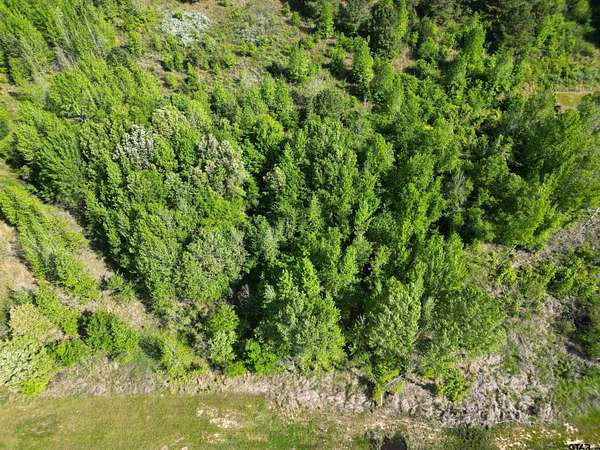 1 Acre of Residential Land for Sale in Pittsburg, Texas