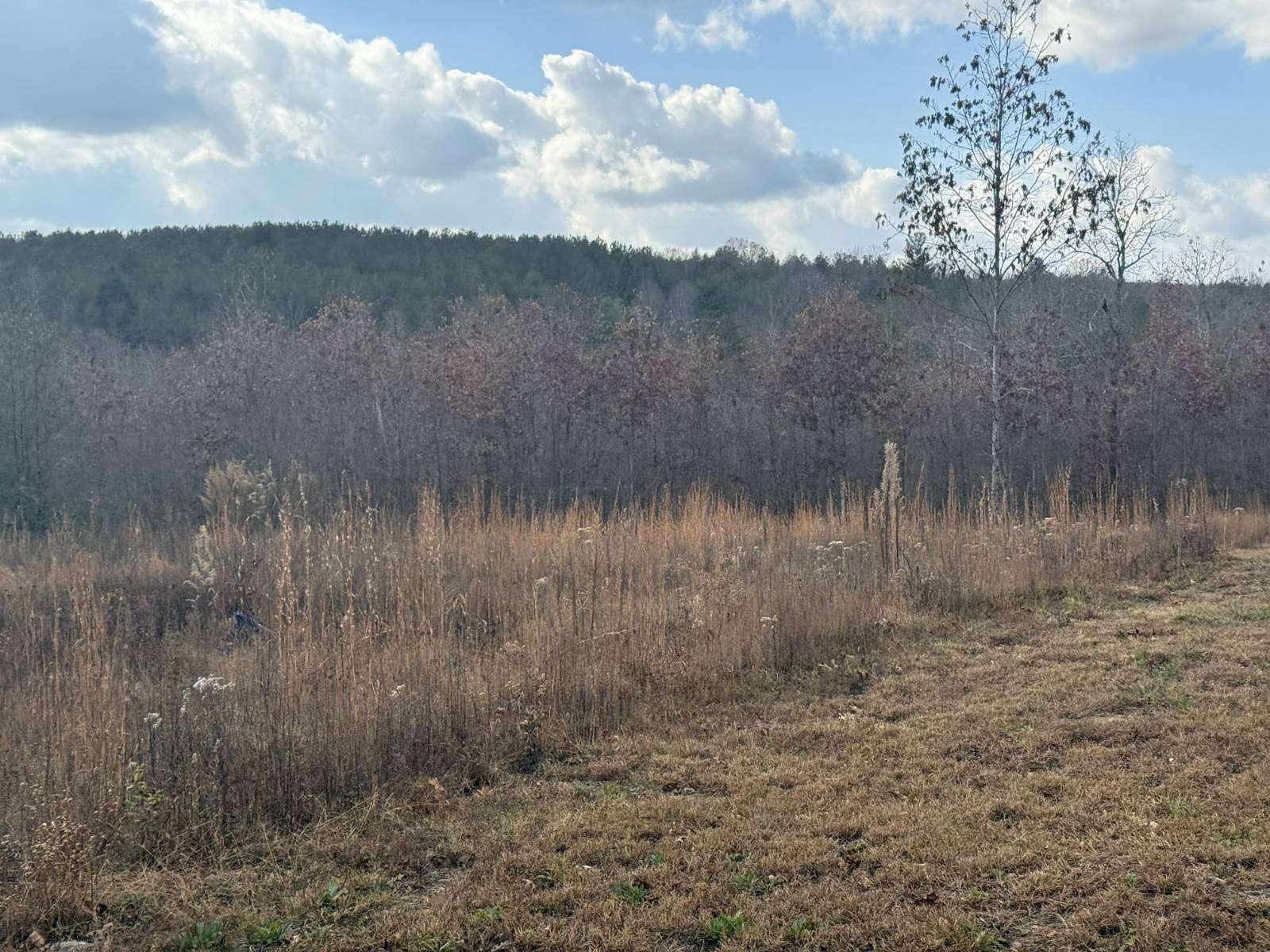 6.25 Acres of Residential Land for Sale in Deer Lodge, Tennessee
