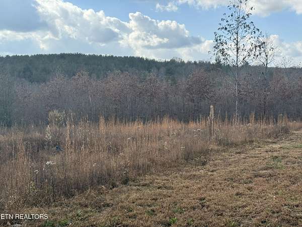 6.25 Acres of Residential Land for Sale in Deer Lodge, Tennessee