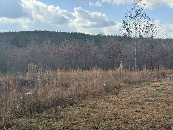 6.25 Acres of Residential Land for Sale in Deer Lodge, Tennessee