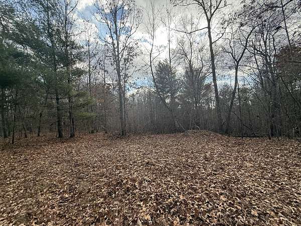 10.8 Acres of Recreational & Residential Land for Sale in Deer Lodge, Tennessee