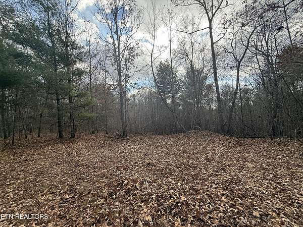 10.8 Acres of Recreational & Residential Land for Sale in Deer Lodge, Tennessee