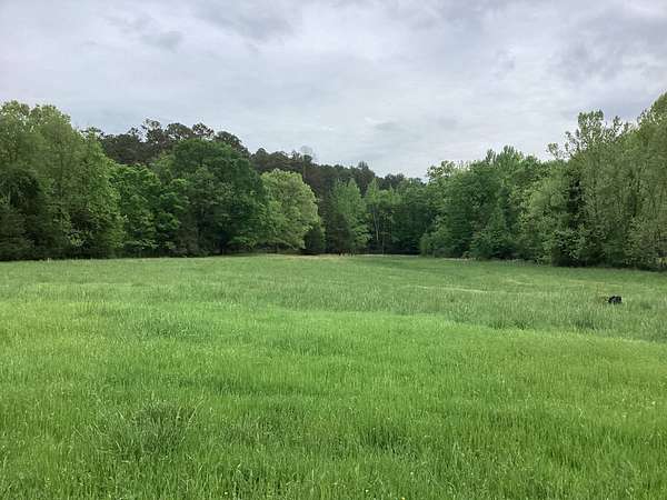 10 Acres of Land for Sale in Oden, Arkansas