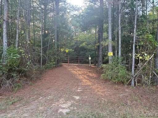 111 Acres of Land for Sale in Fayette, Alabama