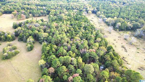 14 Acres of Land for Sale in Uniontown, Alabama