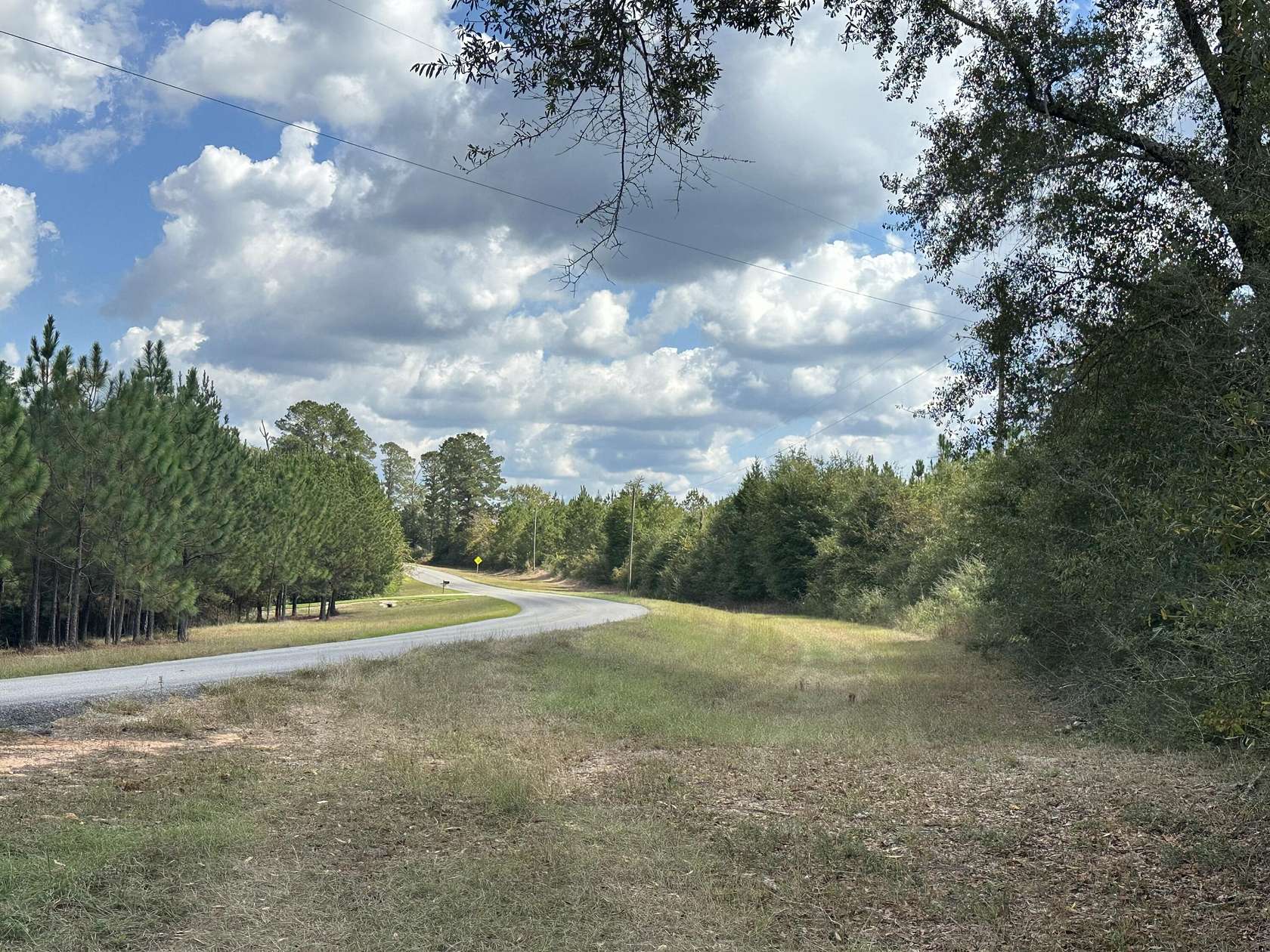 146 Acres of Land for Sale in Laurel Hill, Florida