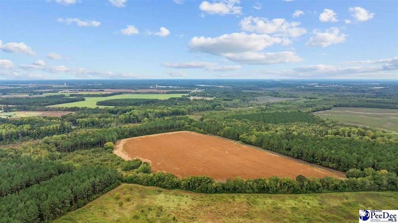 101 Acres of Land for Sale in Bennettsville, South Carolina