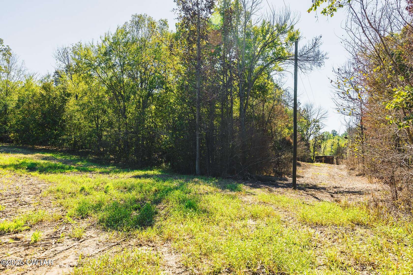 9.33 Acres of Land for Sale in Greenfield, Tennessee