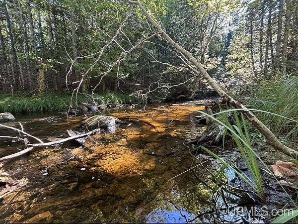 40 Acres of Recreational Land for Sale in Shingleton, Michigan