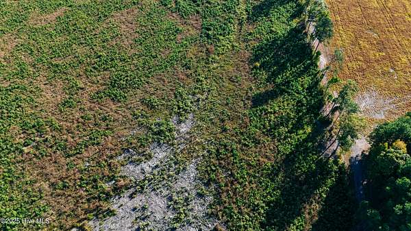 10 Acres of Land for Sale in Hertford, North Carolina