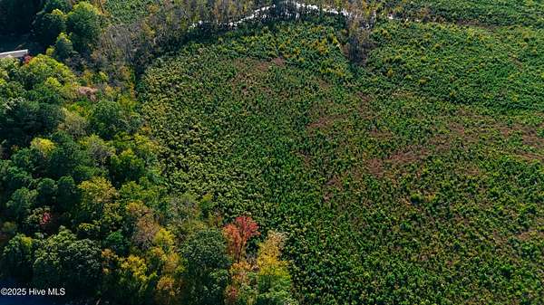 10 Acres of Land for Sale in Hertford, North Carolina