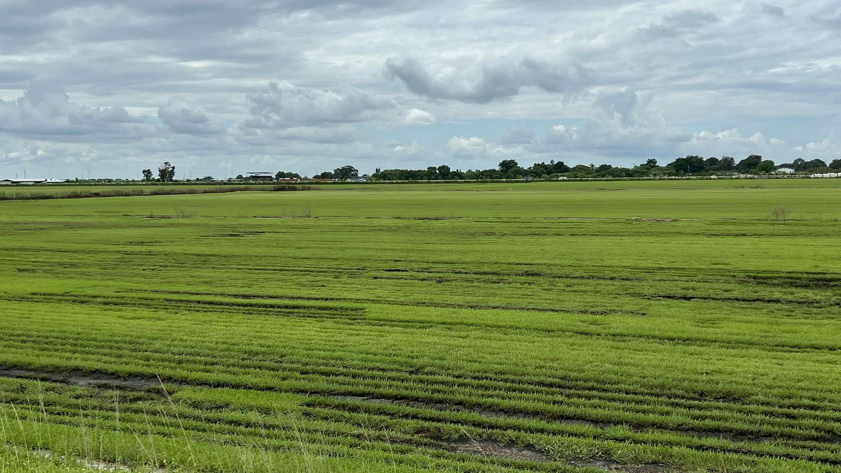 0.41 Acres of Commercial Land for Sale in Belle Glade, Florida