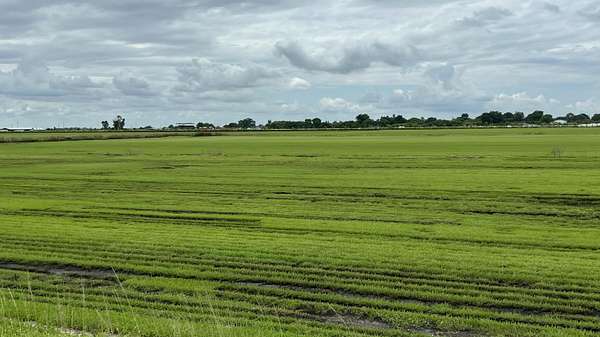 0.41 Acres of Commercial Land for Sale in Belle Glade, Florida