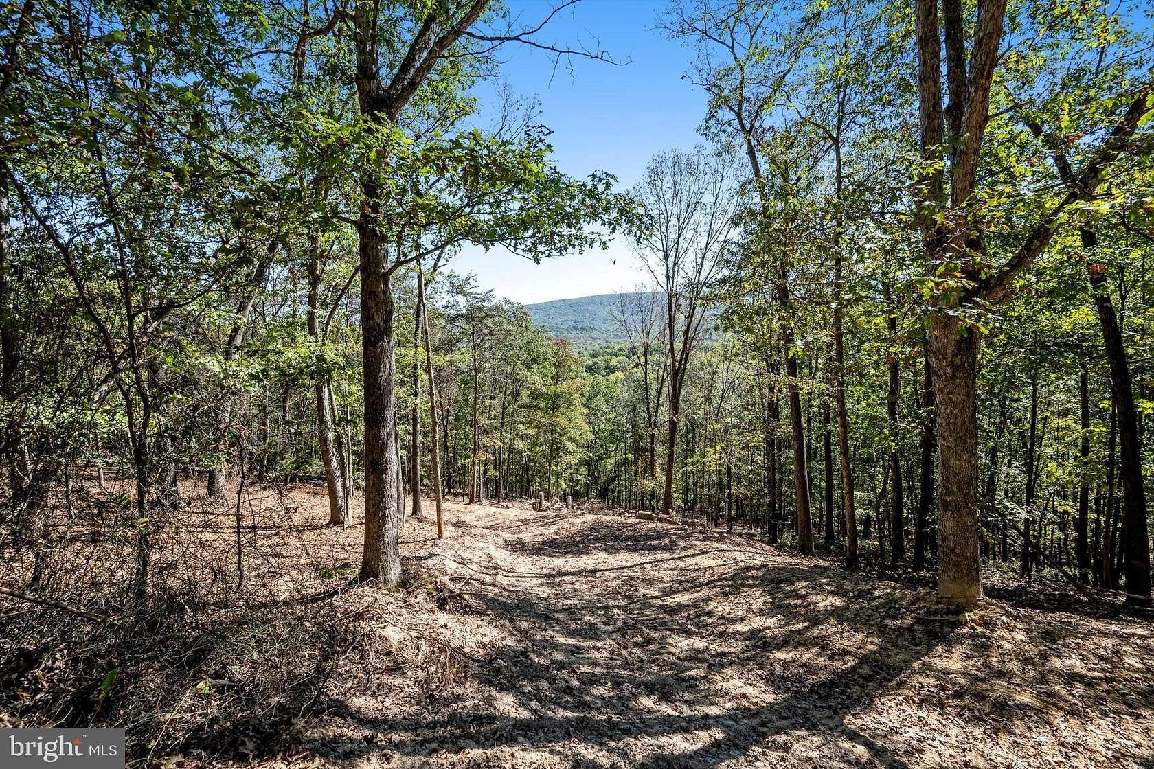 5.12 Acres of Residential Land for Sale in Gore, Virginia