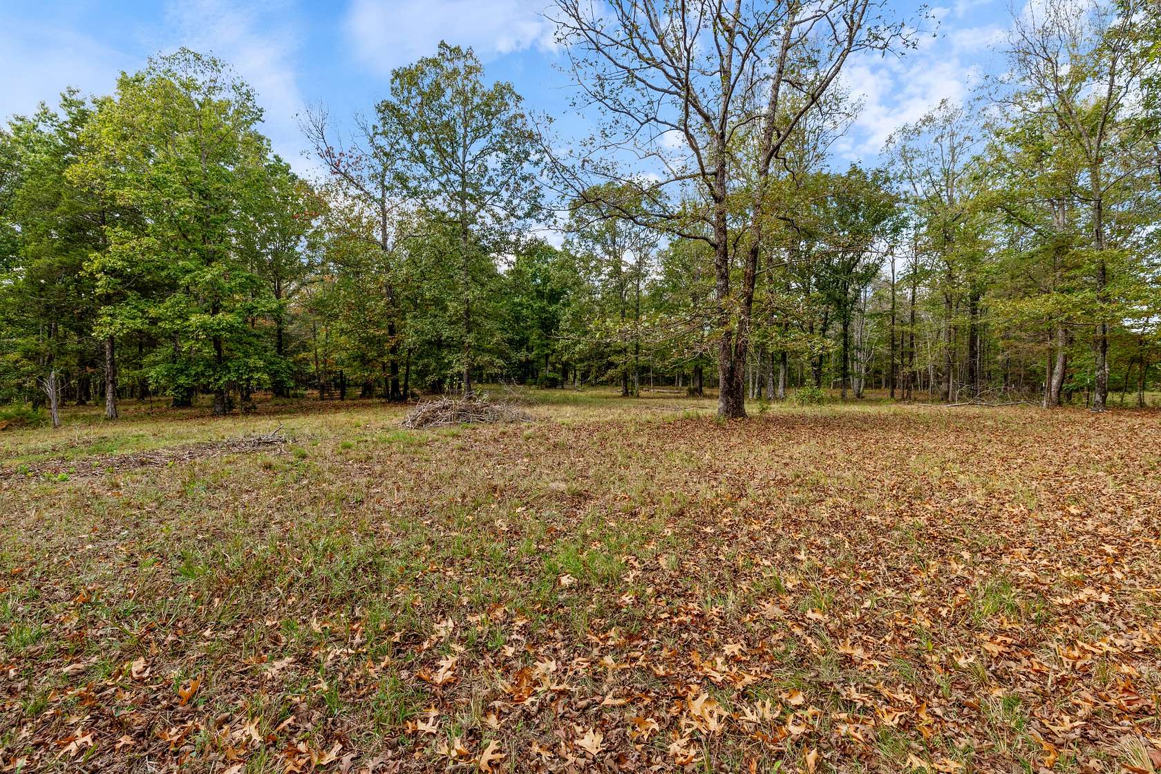 45.6 Acres of Land for Sale in McEwen, Tennessee