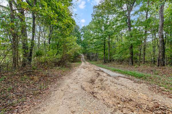 45.6 Acres of Land for Sale in McEwen, Tennessee