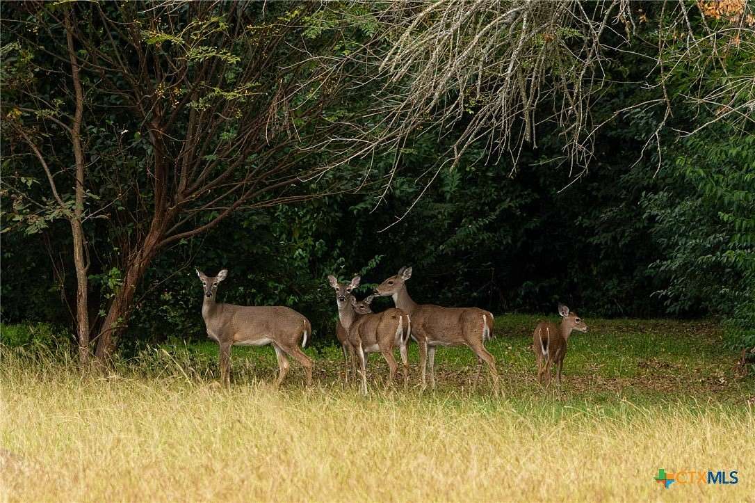 8 Acres of Residential Land for Sale in Eddy, Texas