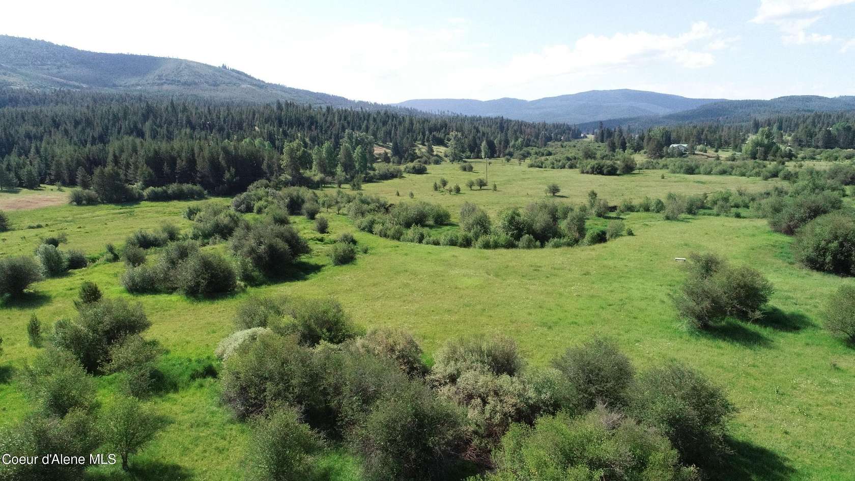 60 Acres of Land for Sale in St. Maries, Idaho