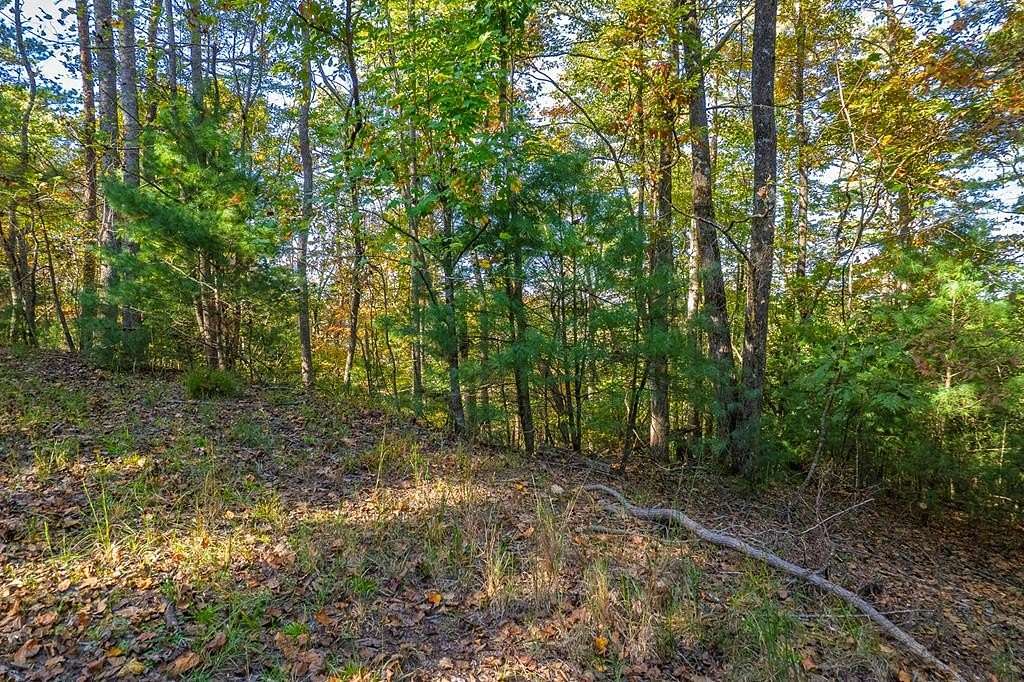0.68 Acres of Land for Sale in Ellijay, Georgia