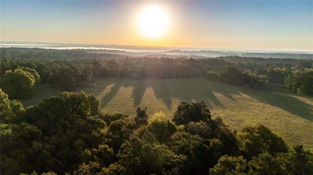 36 Acres of Land for Sale in Oakwood, Texas