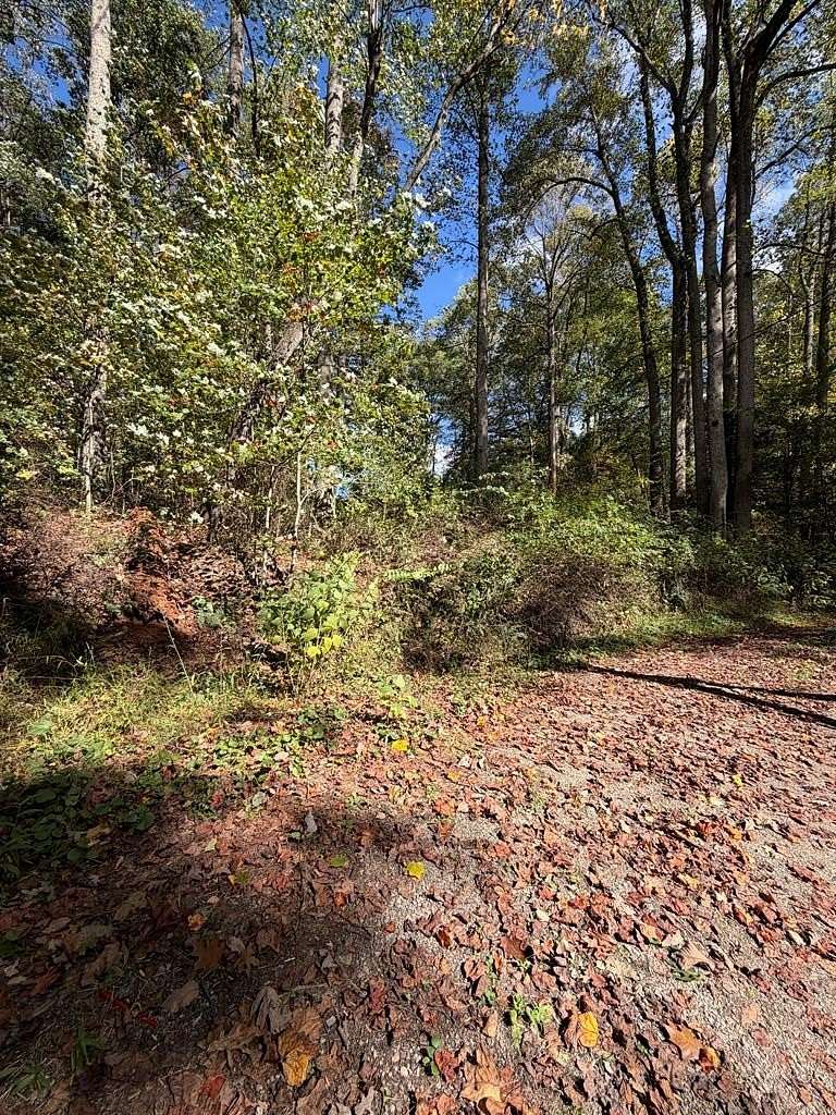 7.38 Acres of Land for Sale in Beaver, West Virginia