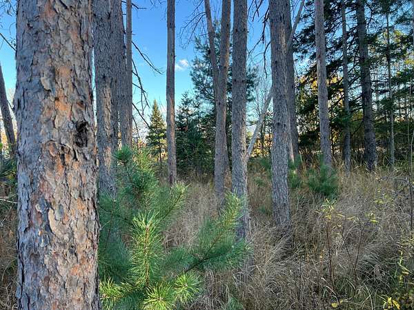10 Acres of Commercial Land for Sale in Sandstone, Minnesota