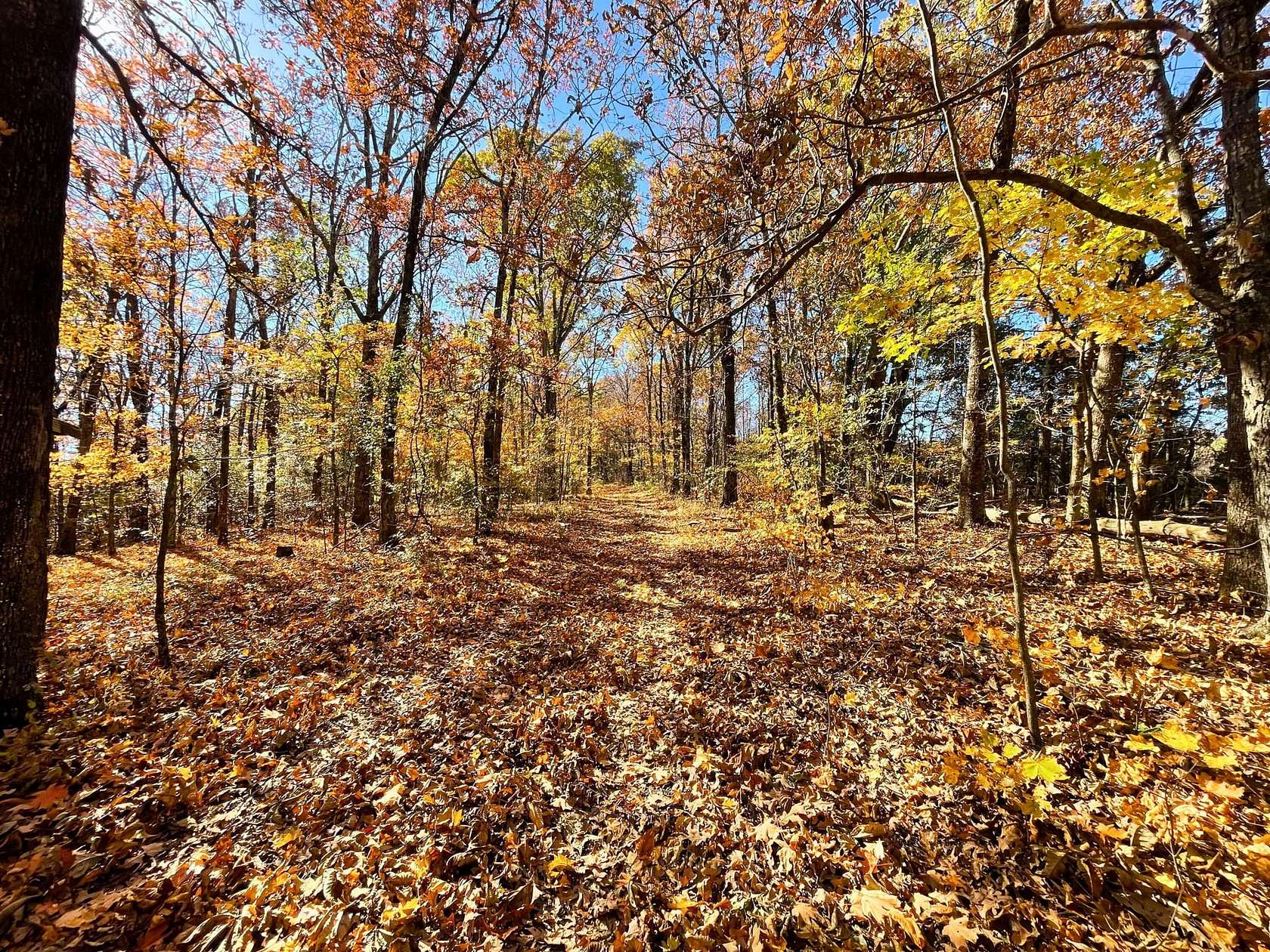 78.9 Acres of Recreational Land for Sale in Winslow, Arkansas