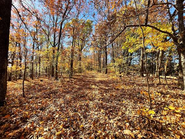 78.9 Acres of Recreational Land for Sale in Winslow, Arkansas