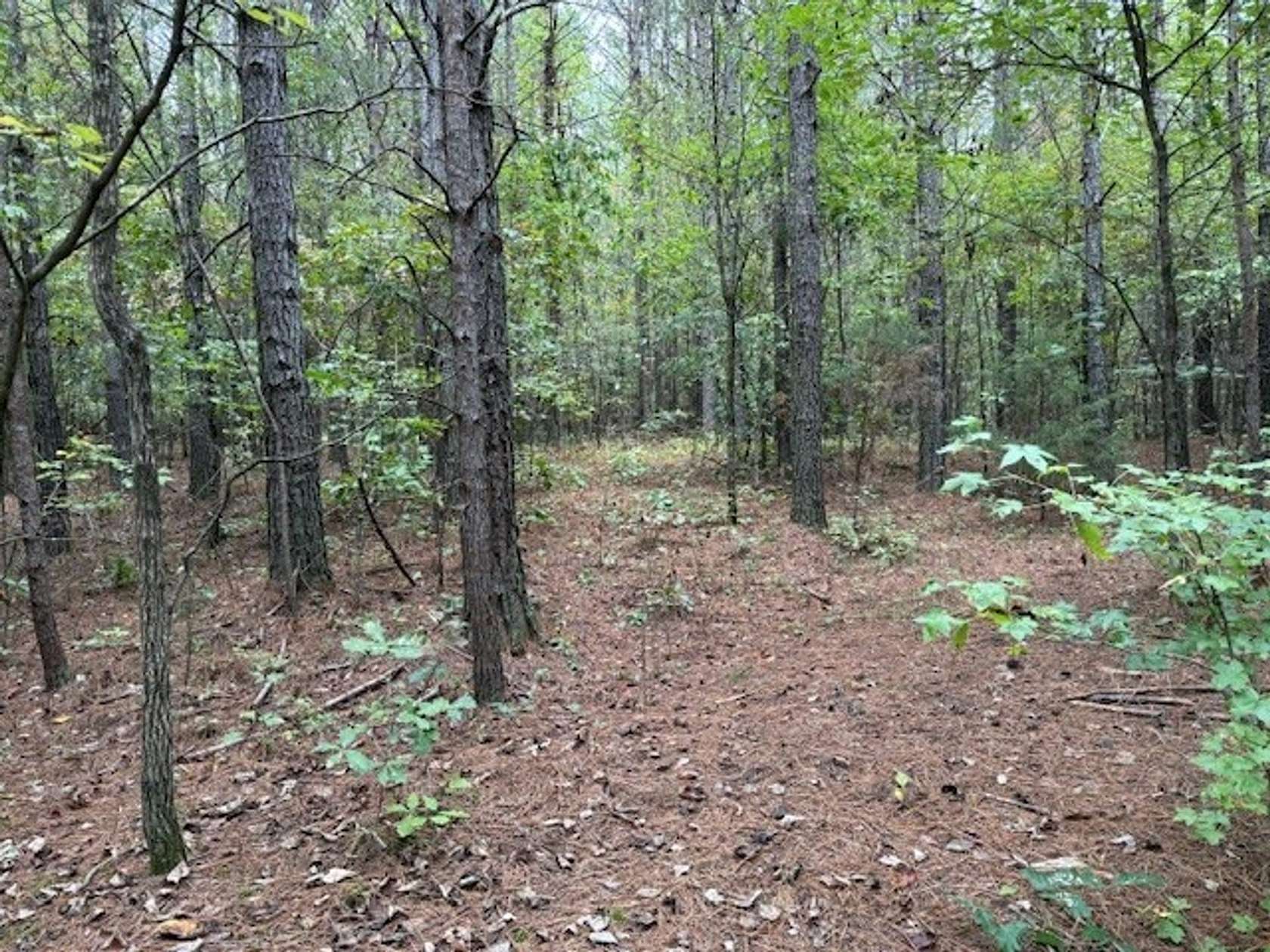 5 Acres of Recreational Land for Sale in Madisonville, Tennessee