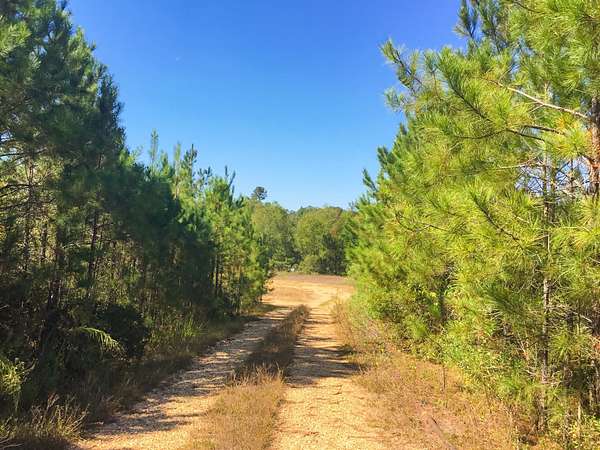 99 Acres of Recreational Land for Sale in Waldo, Arkansas