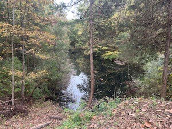 6 Acres of Land for Sale in Center Point, Indiana