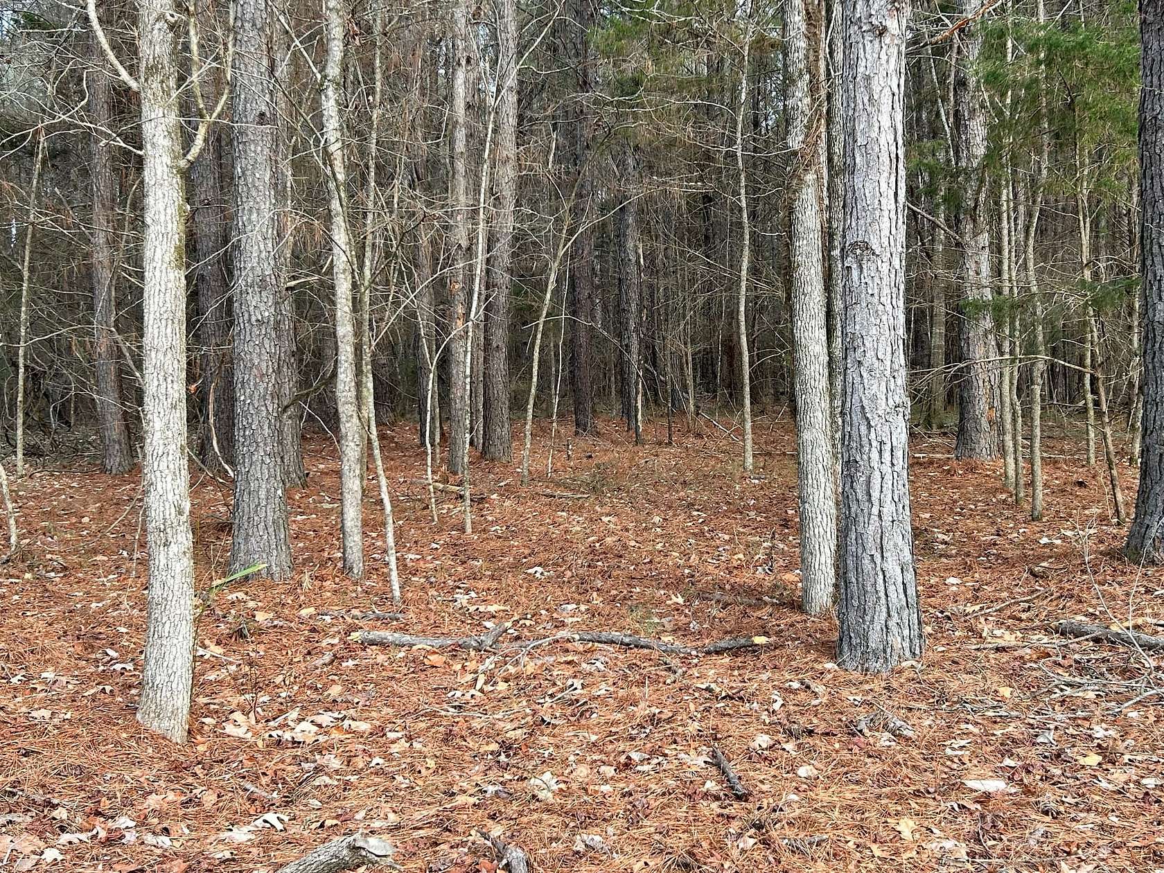 4.5 Acres of Land for Sale in Aliceville, Alabama