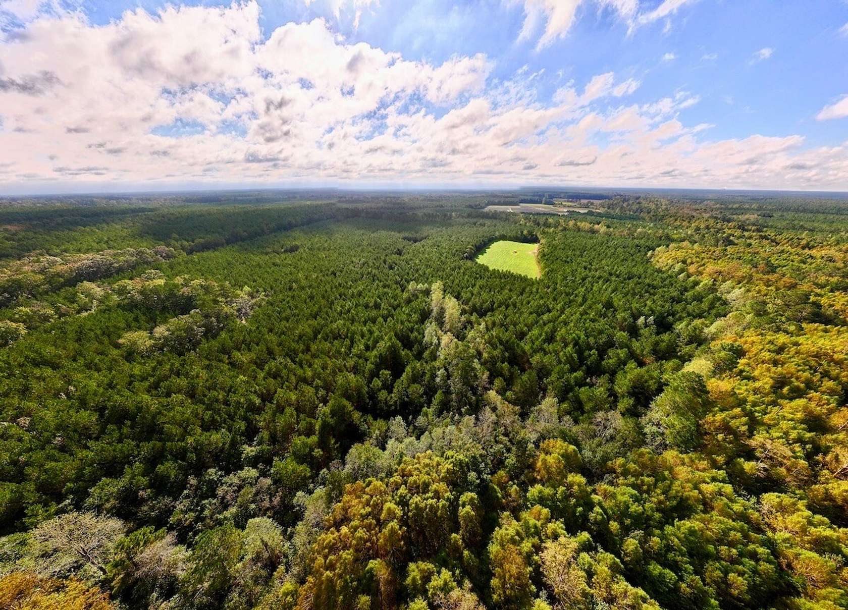 202 Acres of Recreational Land for Sale in Atkinson, North Carolina