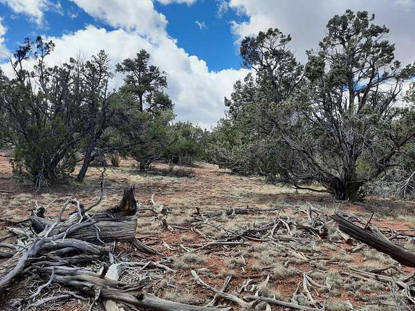 2 Acres of Land for Sale in Seligman, Arizona