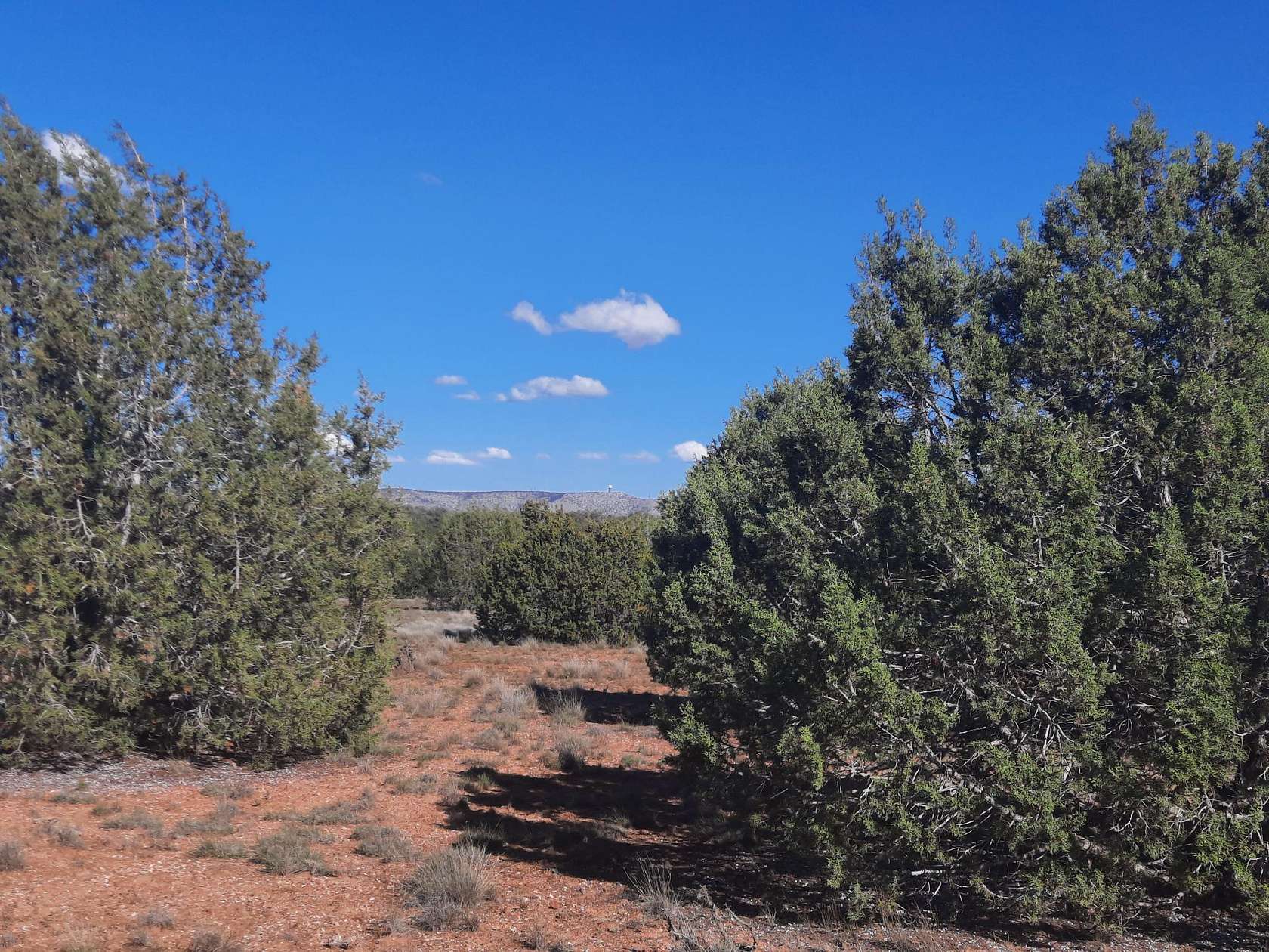 1 Acre of Land for Sale in Seligman, Arizona