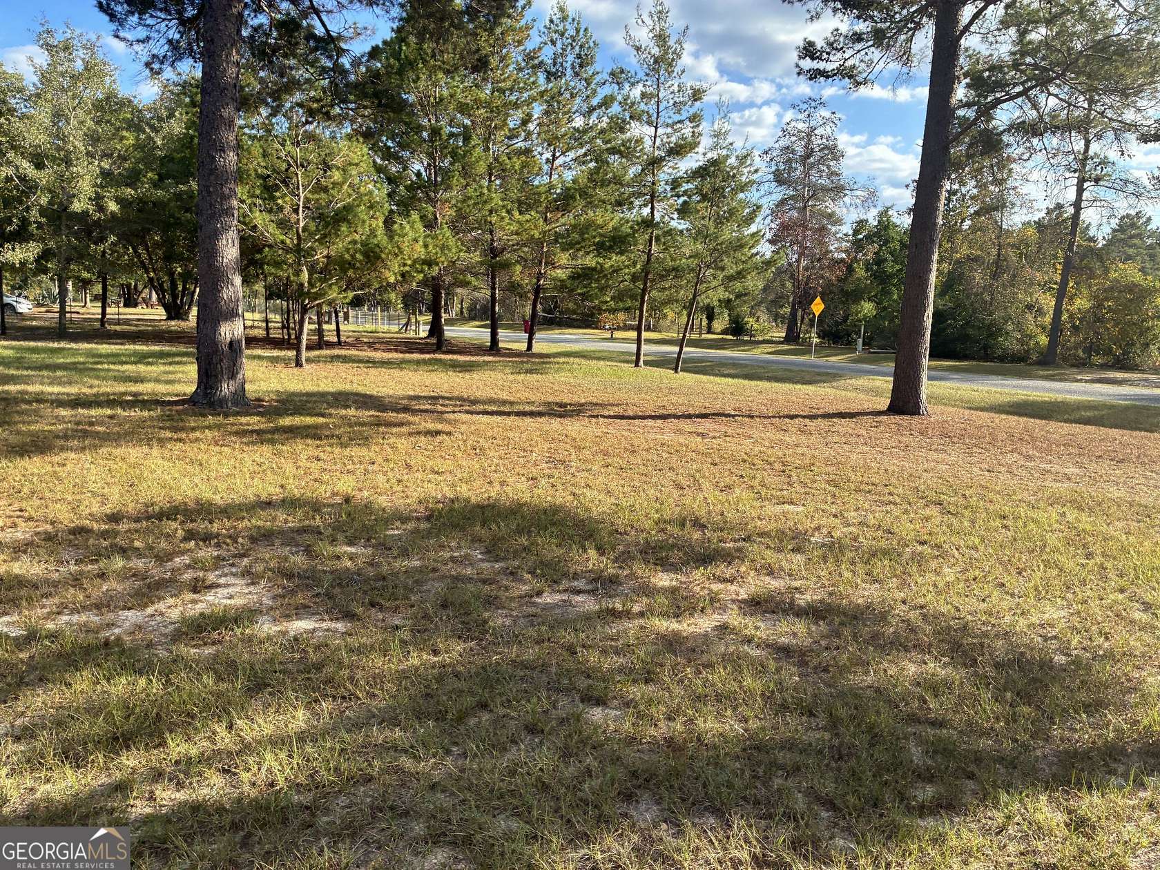 1 Acre of Residential Land for Sale in Roberta, Georgia