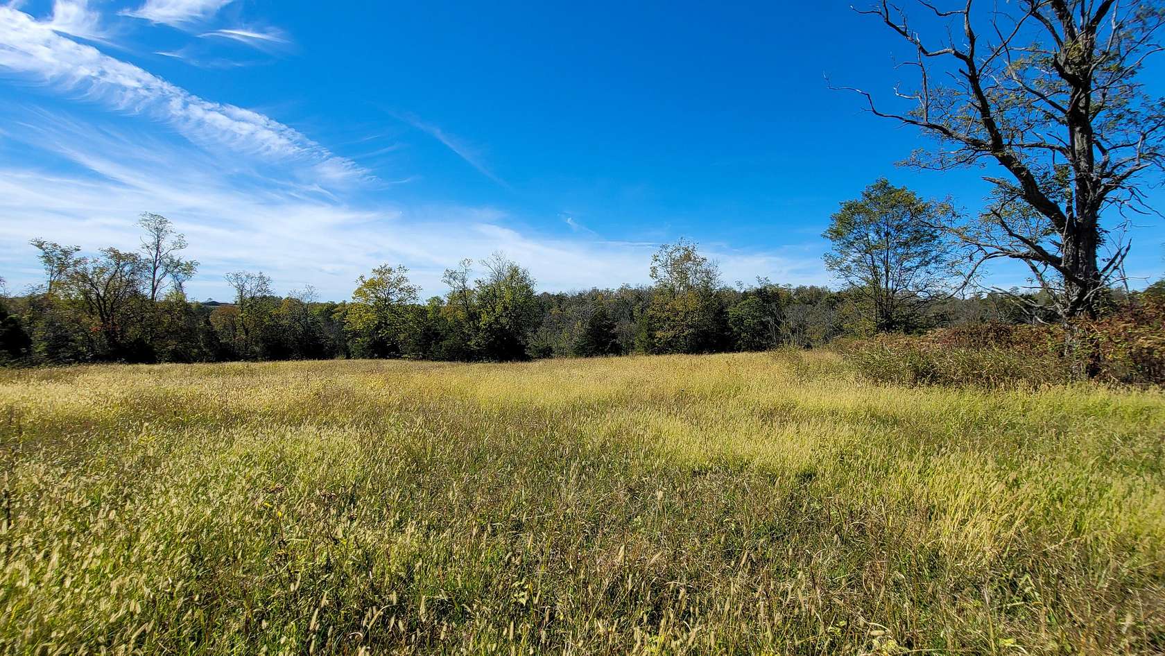 53.1 Acres of Land for Sale in Flemingsburg, Kentucky