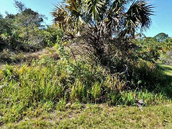 0.31 Acres of Land for Sale in North Port, Florida
