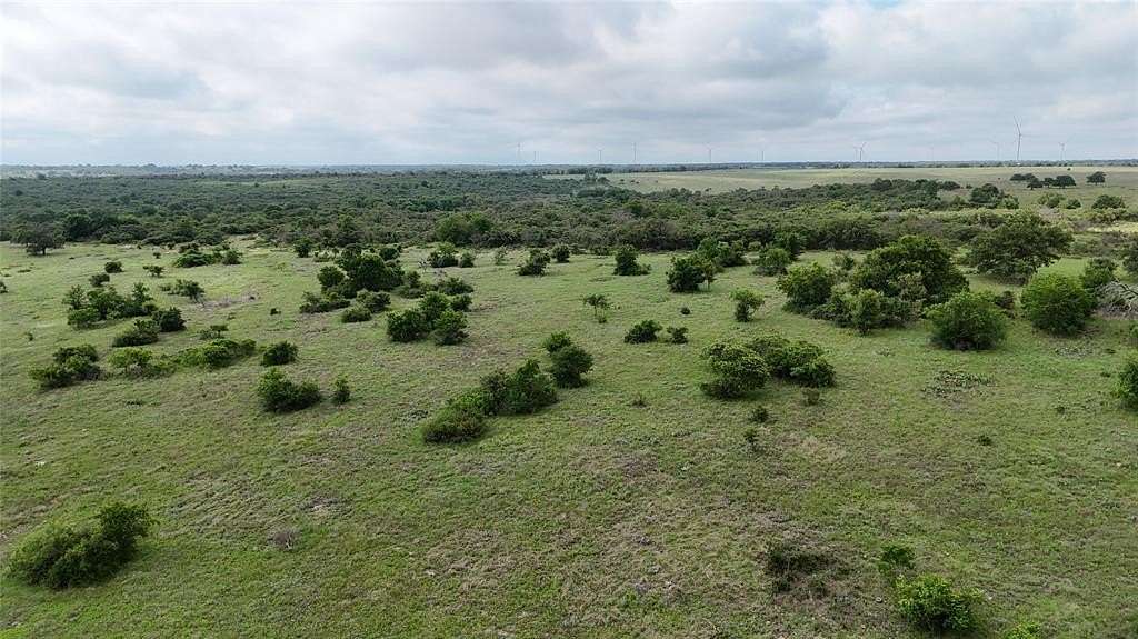 15 Acres of Land for Sale in Goldthwaite, Texas