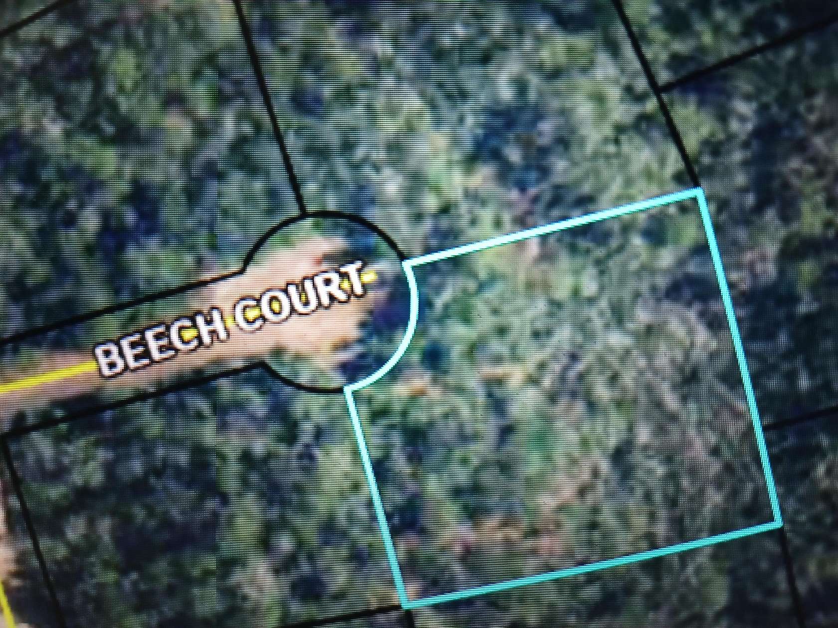 1 Acre of Residential Land for Sale in Alford, Florida