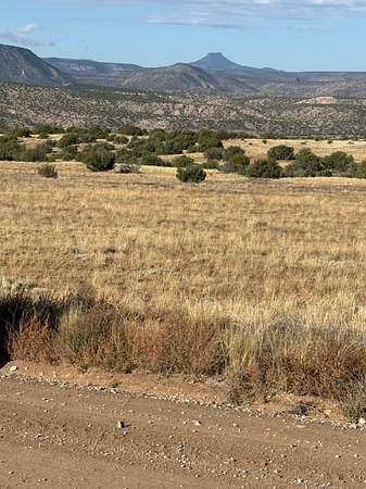 10 Acres of Residential Land for Sale in Medanales, New Mexico