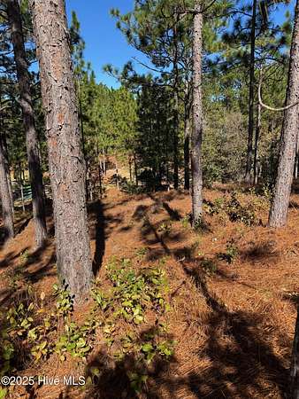 0.79 Acres of Residential Land for Sale in West End, North Carolina