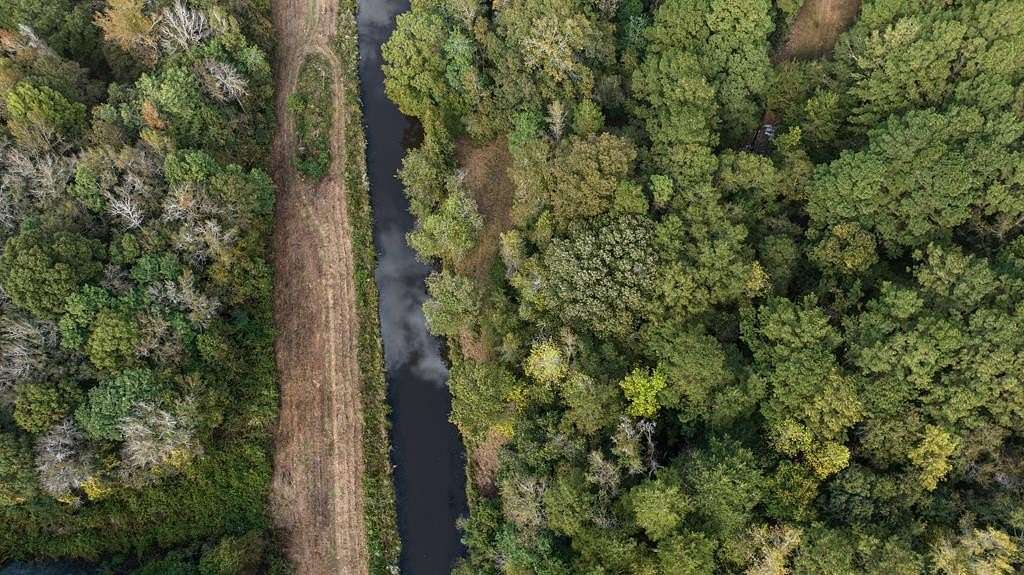 30 Acres of Recreational Land for Sale in Abbeville, Alabama