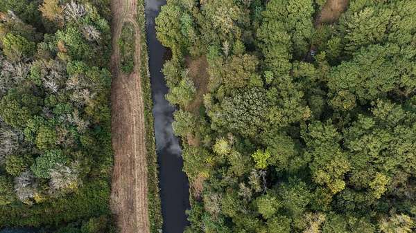 30 Acres of Recreational Land for Sale in Abbeville, Alabama