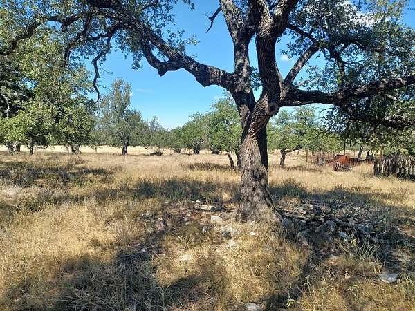30 Acres of Agricultural Land for Sale in Harper, Texas